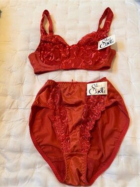 Smart Fit Red Lace Embroidered Bra and High-Waist Briefs